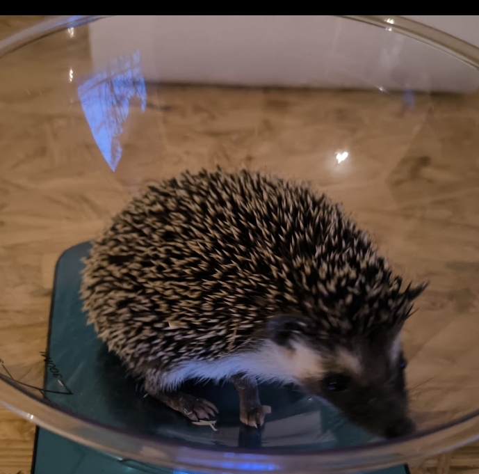 Adanna im neuen Zuhause (1)