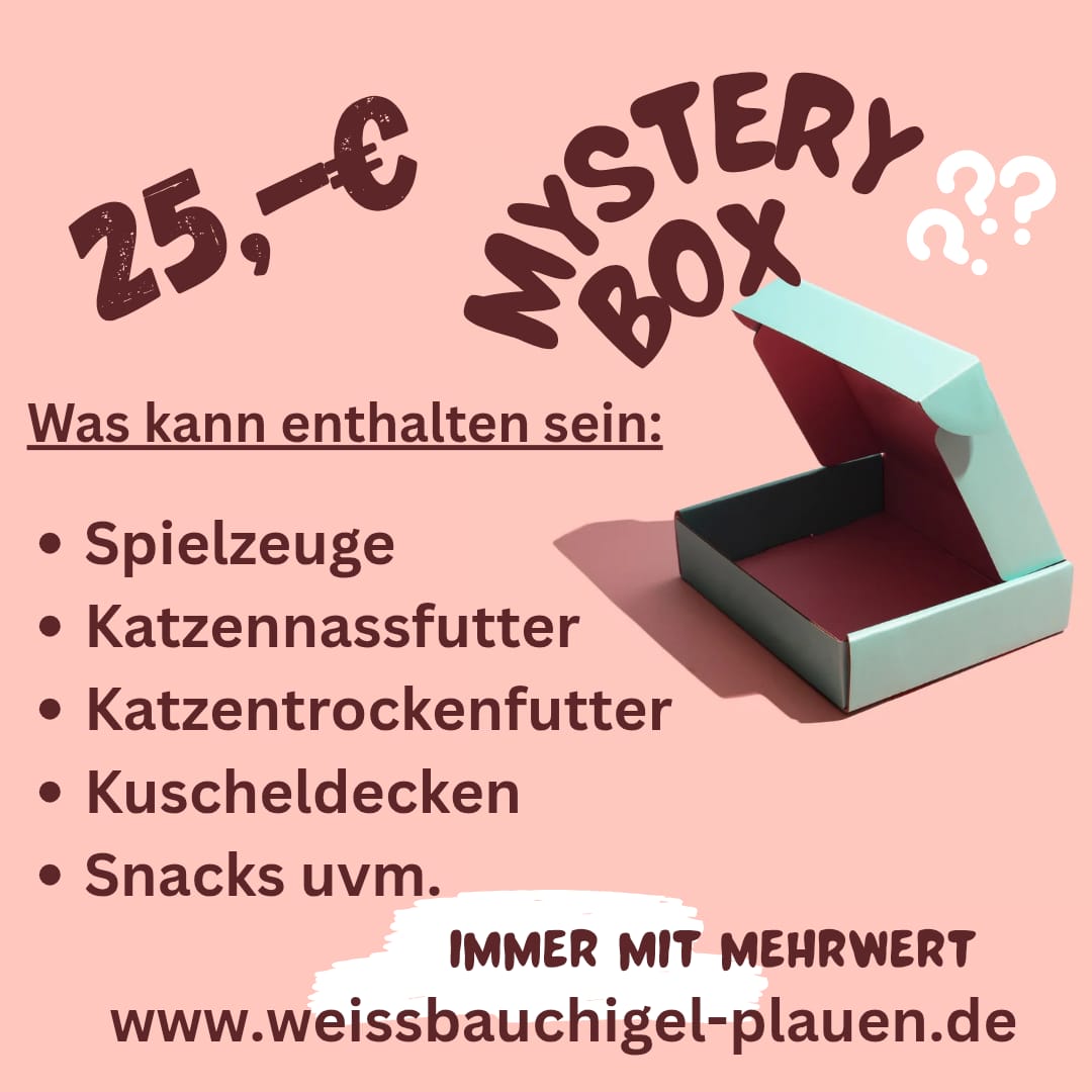Mystery-Box 25,- €